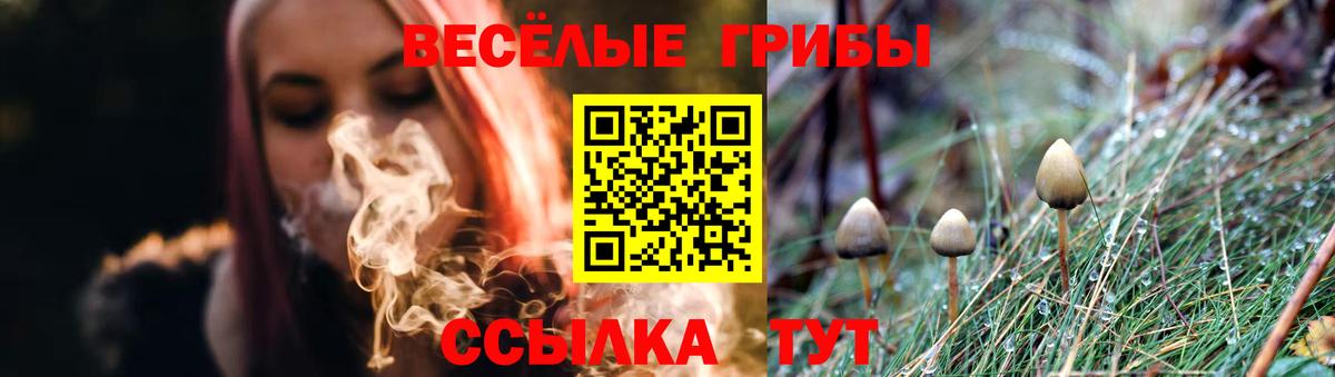 Удомля  Псилоцибиновые грибы MAGIC MUSHROOMS  Вход с VPN 